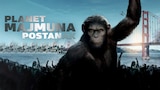 Planet majmuna: Postanak