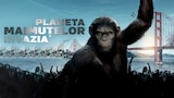 Planeta Maimuțelor: Invazia