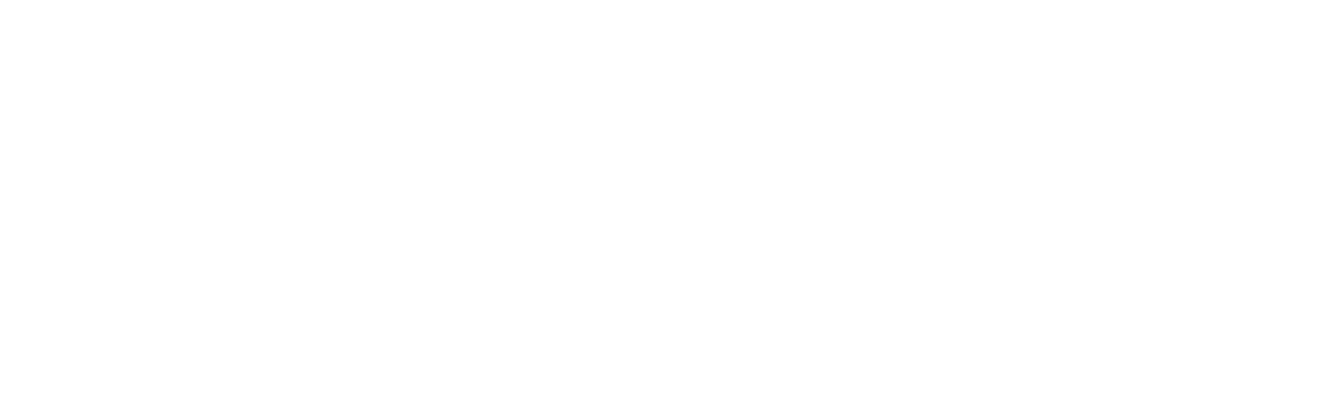 Carnival Eats