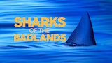 Sharks of the Badlands