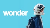 Wonder