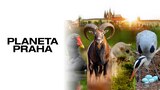 Planeta Praha