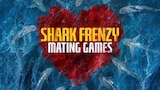 Shark Frenzy: Mating Games