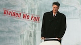 Divided We Fall