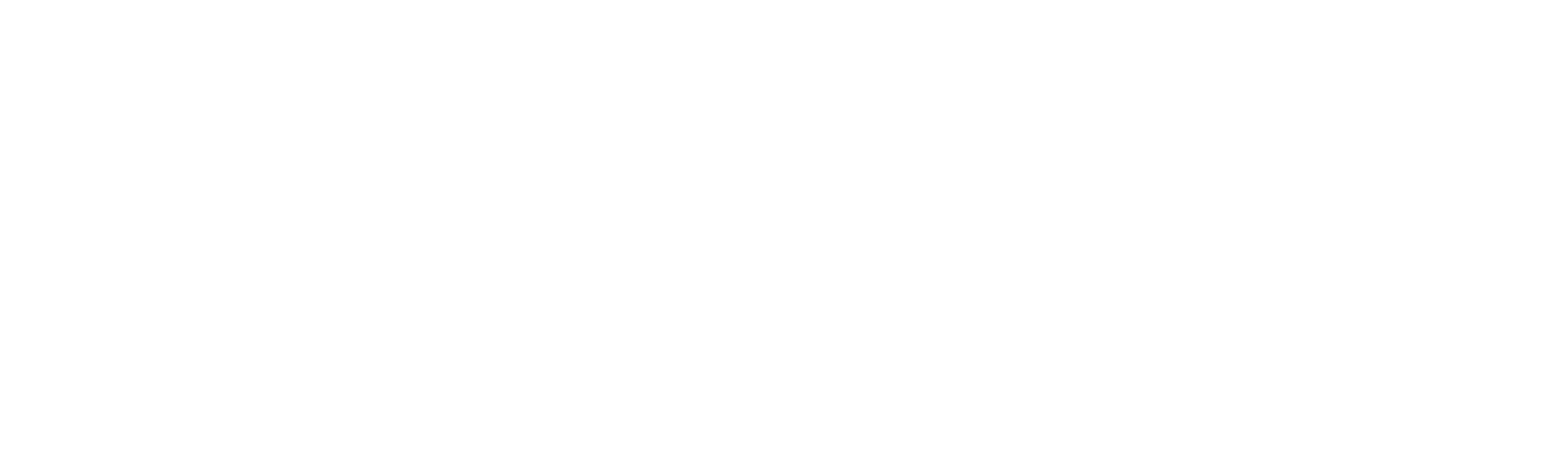 The Brutalist