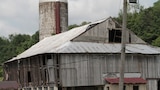 Dairy Barn Danger