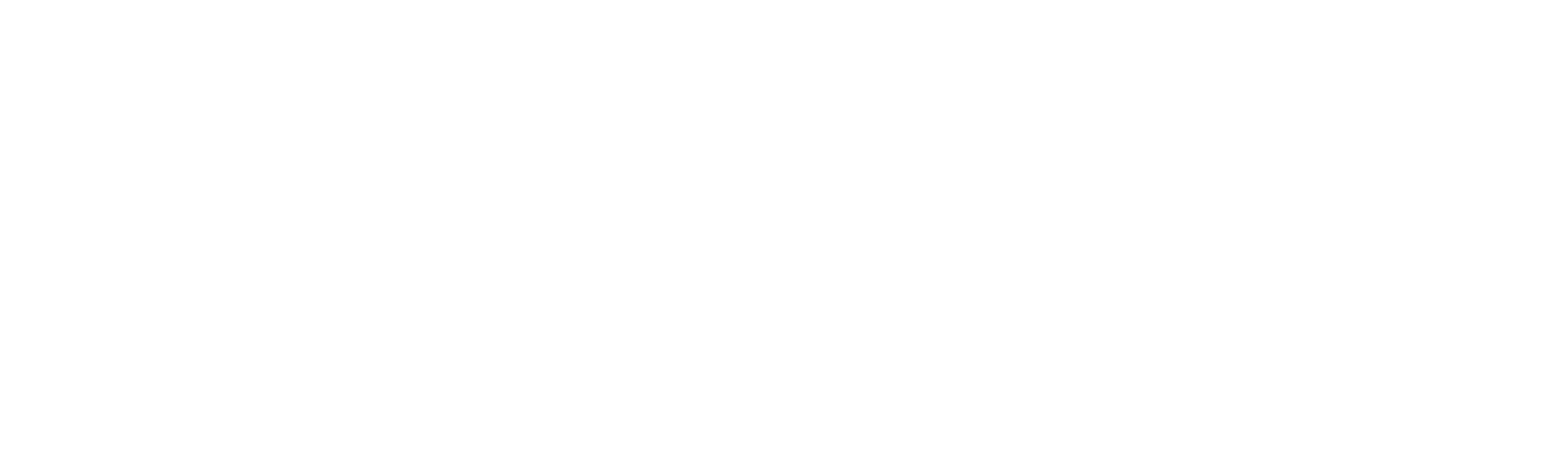 The Boy and the Heron