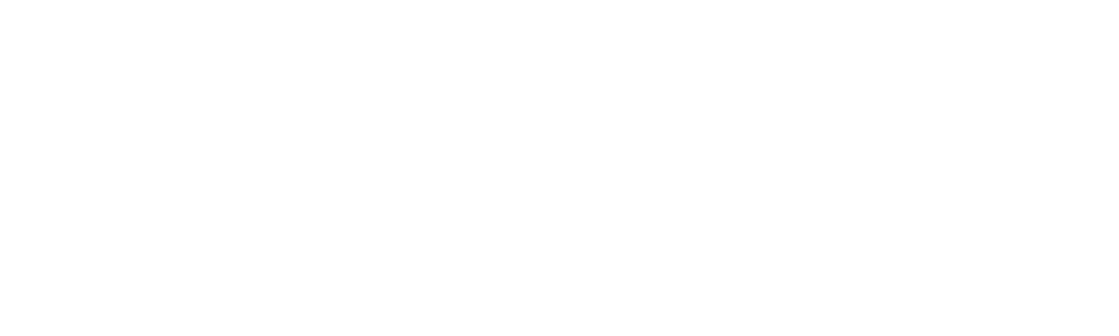 Tareq and Sofia's Dream Renovation