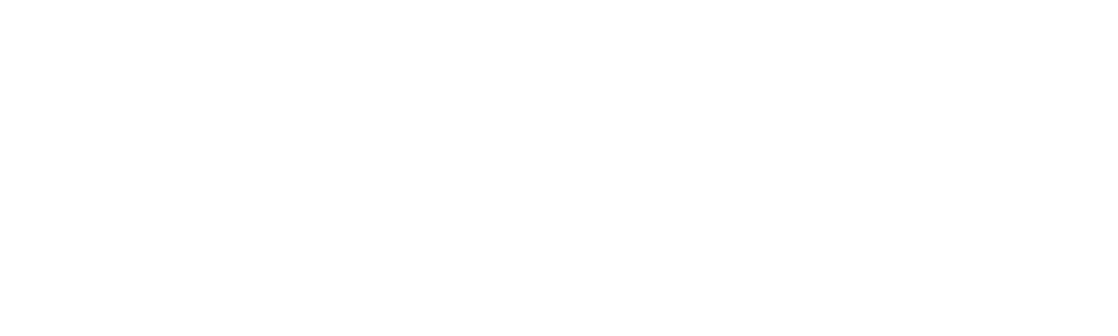 Tareq og Sofias skærgårdsdrøm