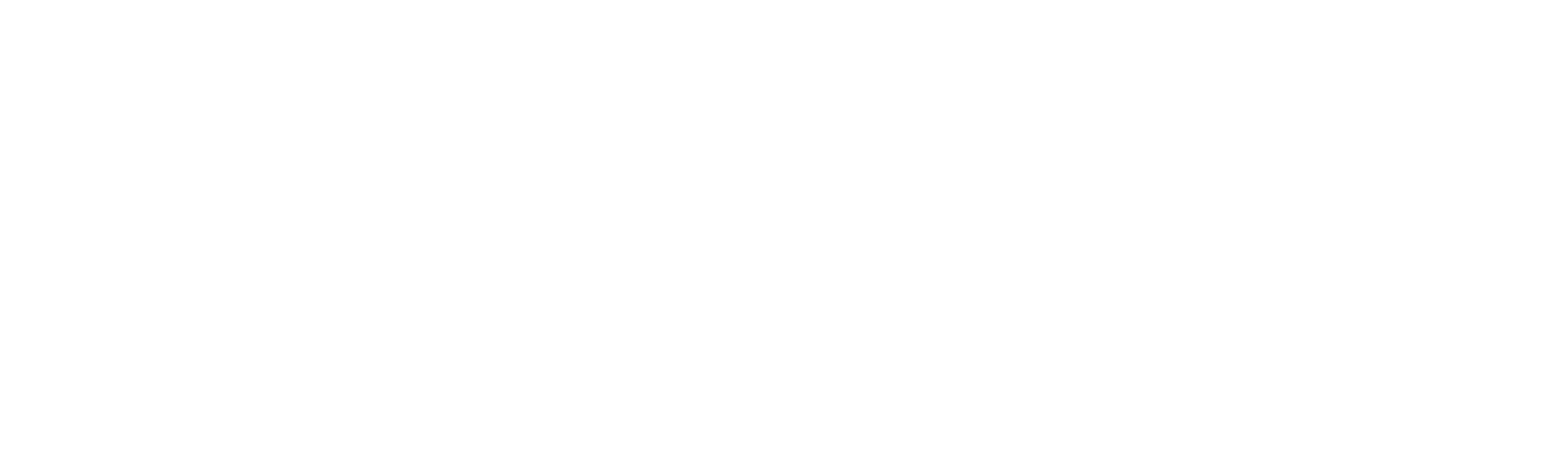 Tareq och Sofias skärgårdsdröm