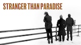 Stranger Than Paradise