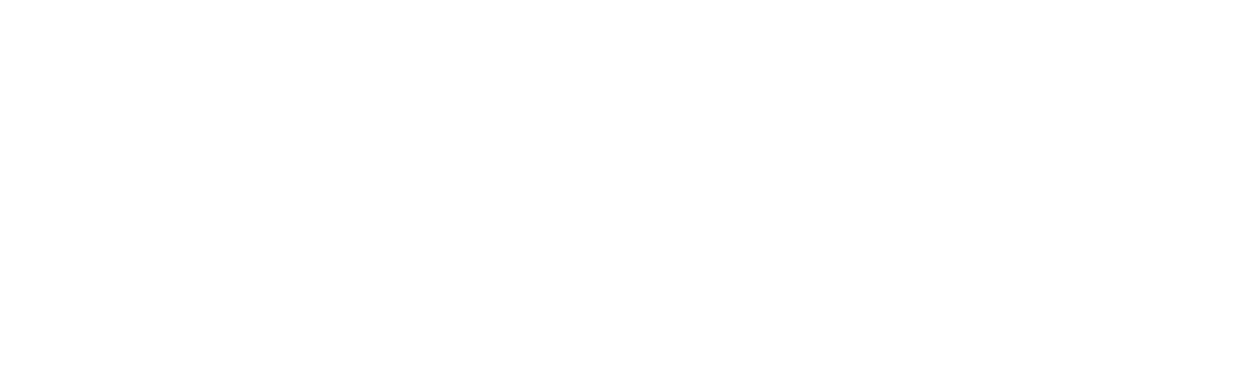 Charlotte Perrelli: Flickan Från Småland