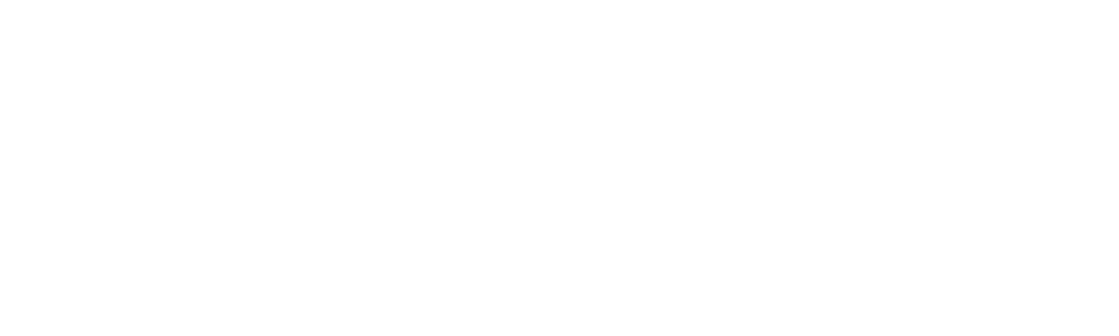 Secret Lives of Stepford Wives