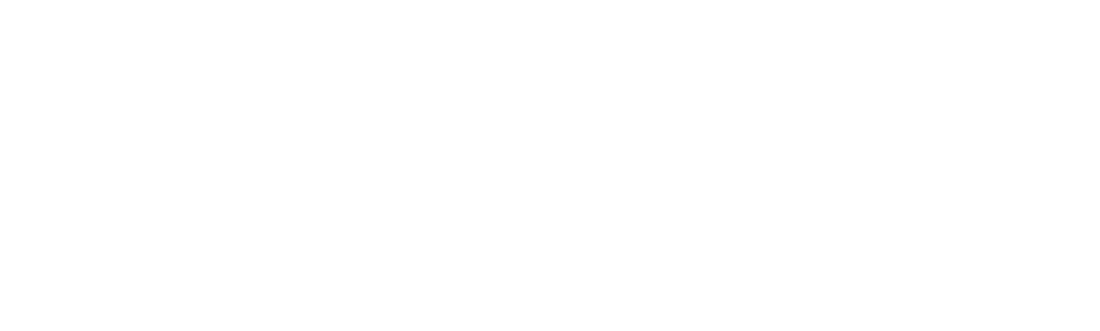 Secret Lives of Stepford Wives