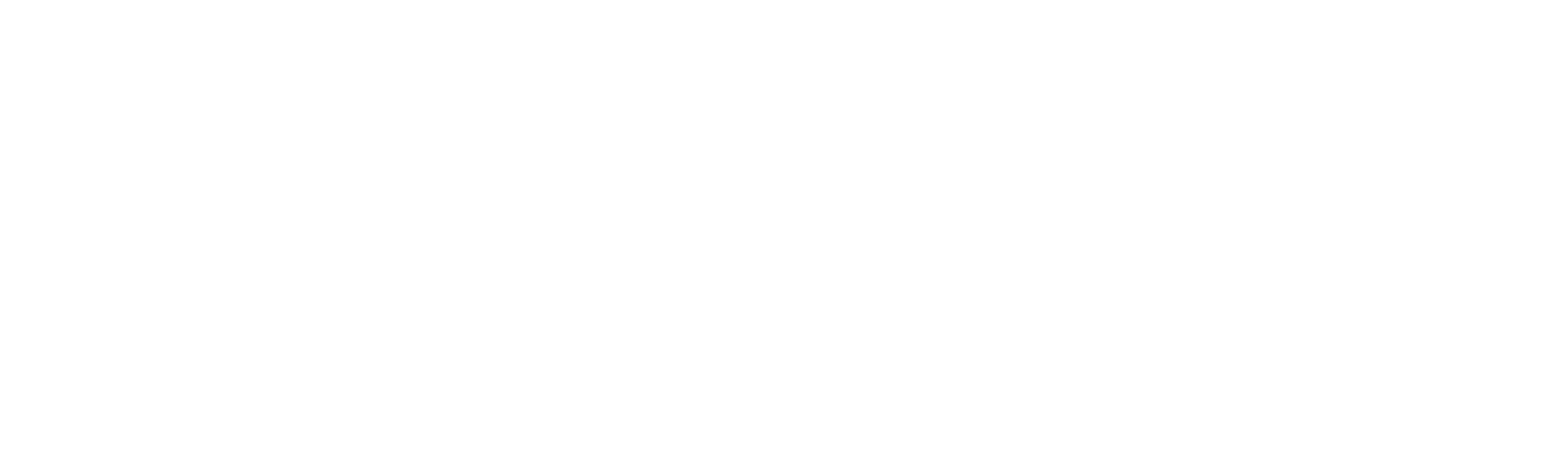 90 Day Diaries