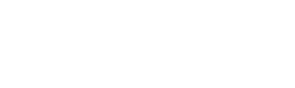 90 Day Diaries
