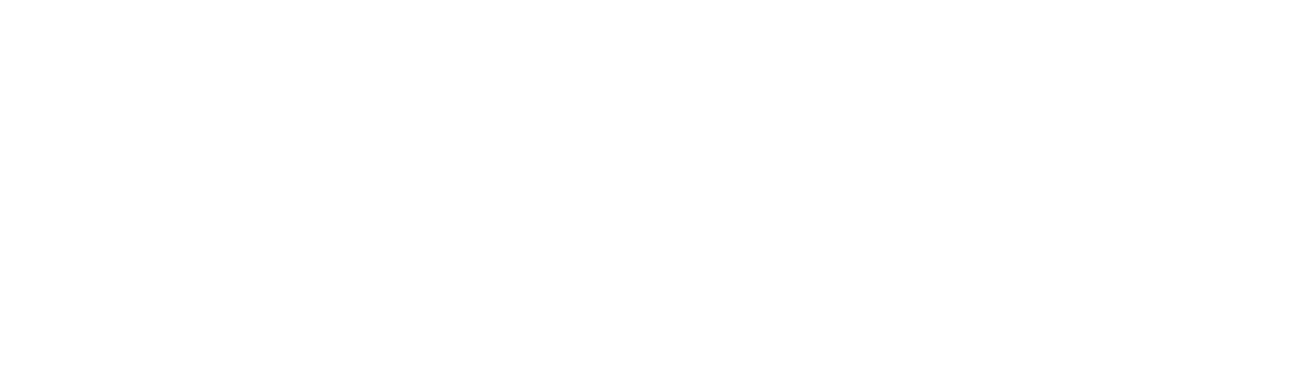 90 Day Diaries