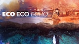 Eco Eco Echo