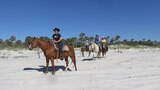 Horsing Around on Amelia Island
