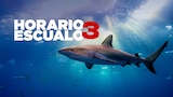 Horario escualo 3