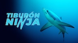 Tiburón ninja