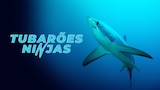 Tubarões Ninjas