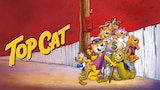 Top Cat