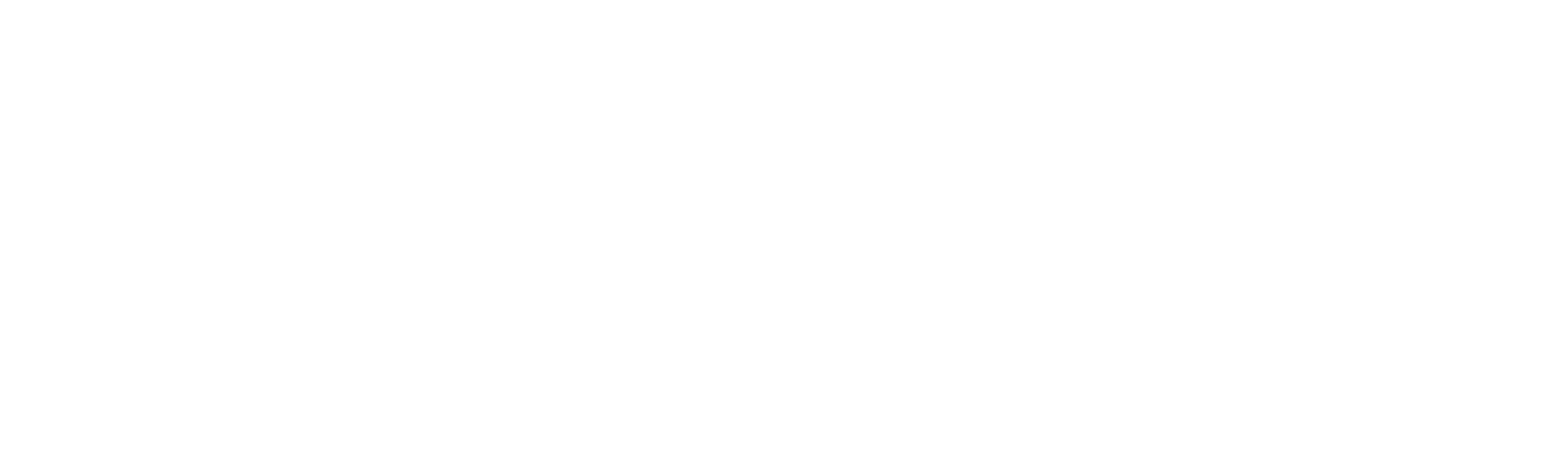Police Academy