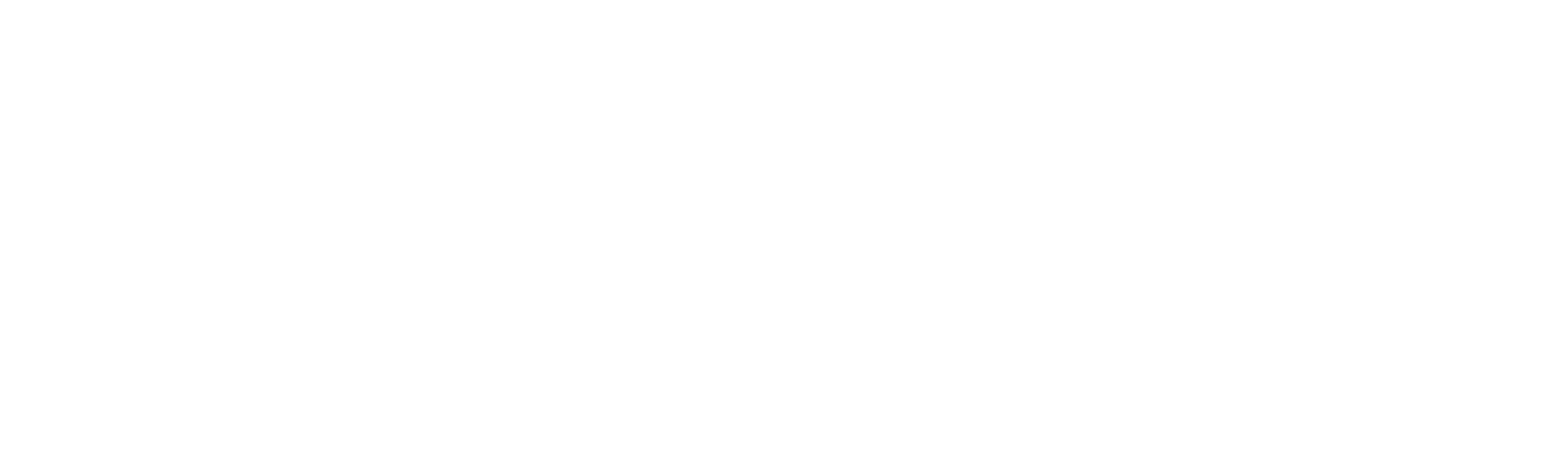 Loca academia de policía