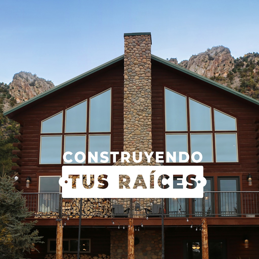 Construyendo tus raíces