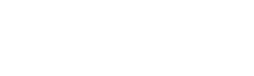 Construyendo tus raíces