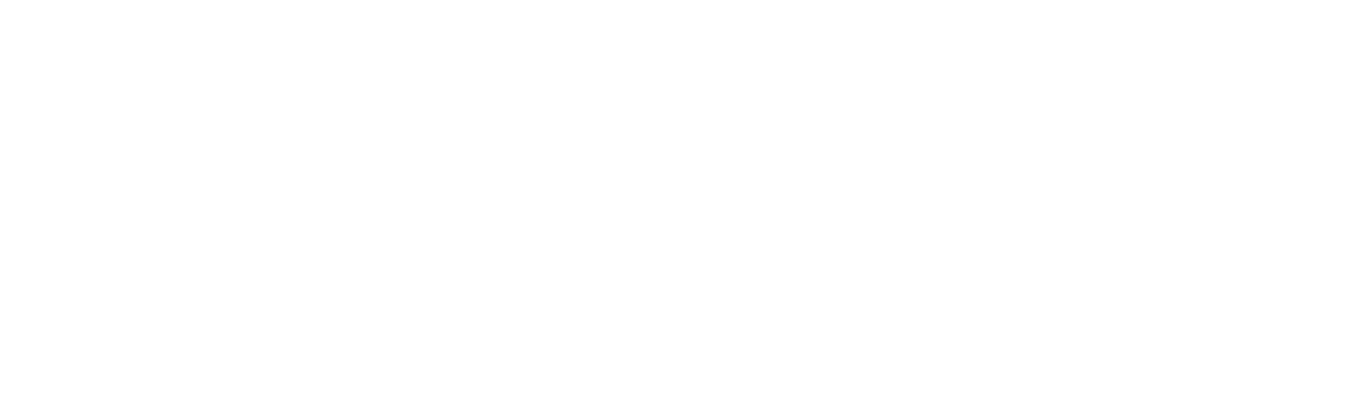 Construyendo tus raíces