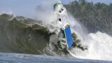 Wild on the Water