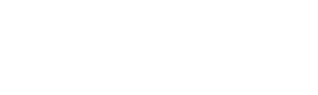 The Pioneer