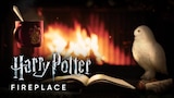 Harry Potter: Fireplace