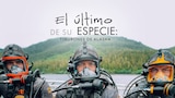 El último de su especie: Tiburones de Alaska