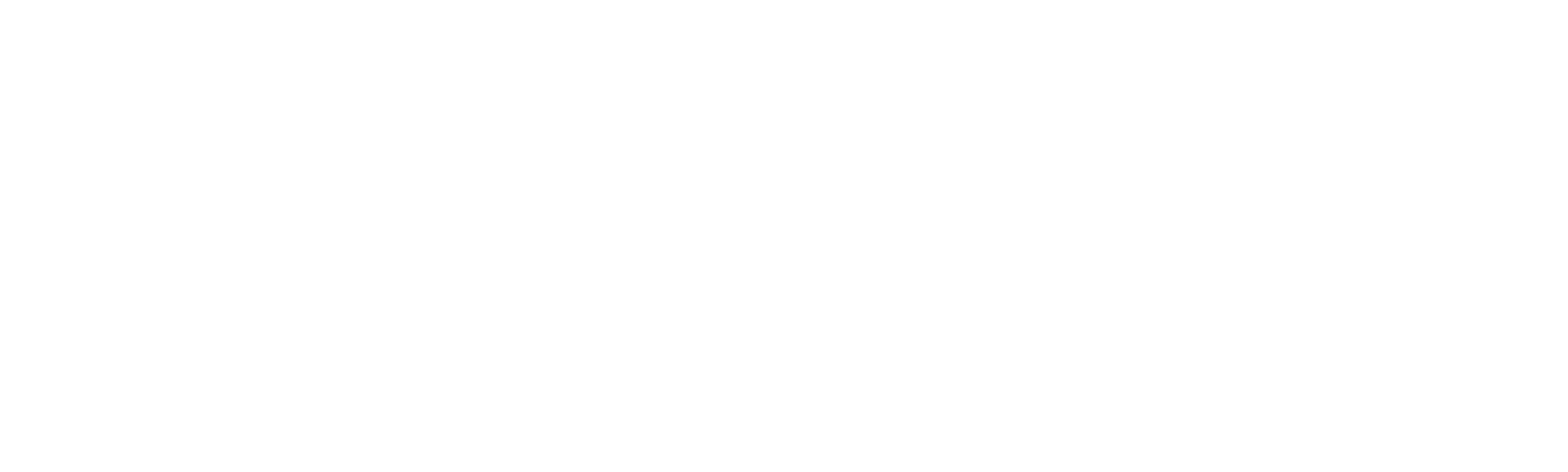 The Rain People