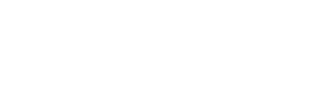 Minha Vida É um Circo