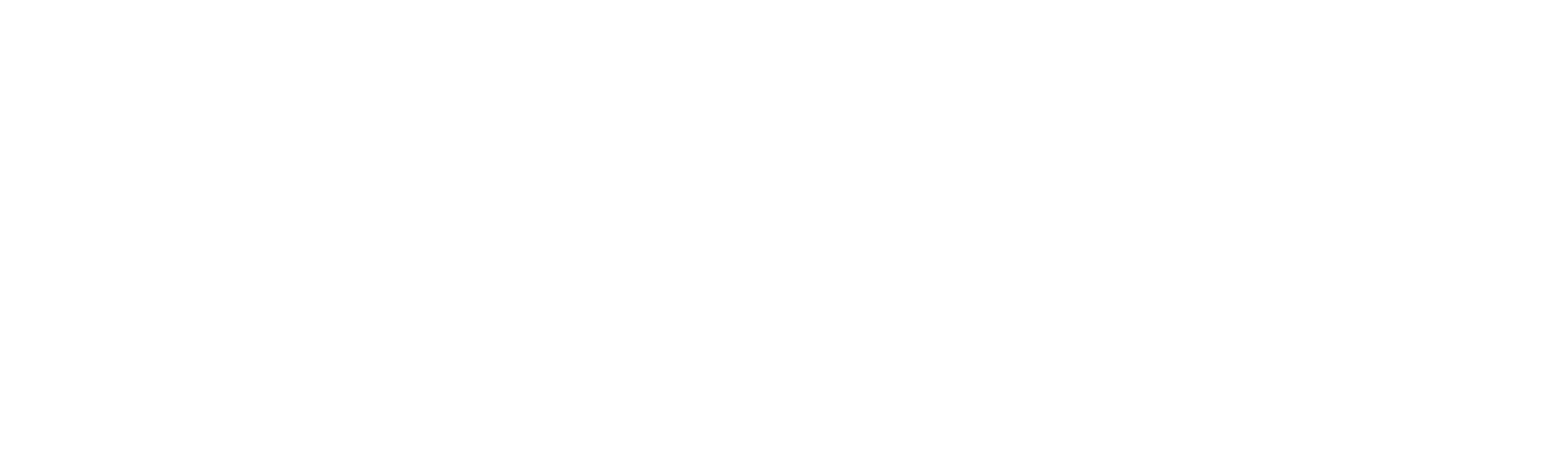 Minha Vida É um Circo