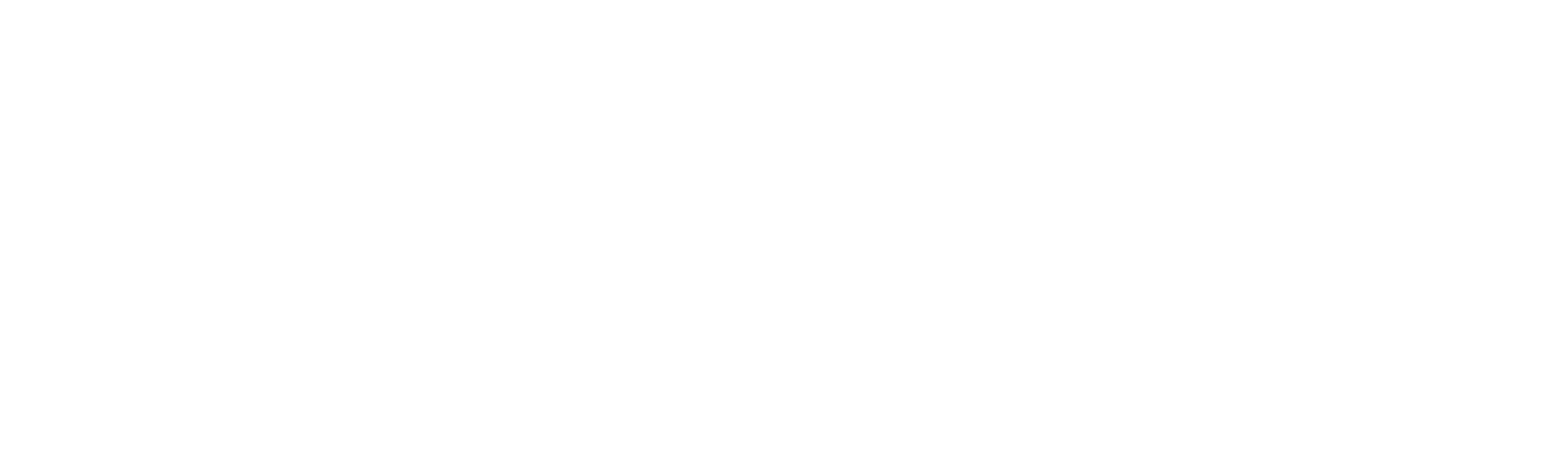 The Elementary School