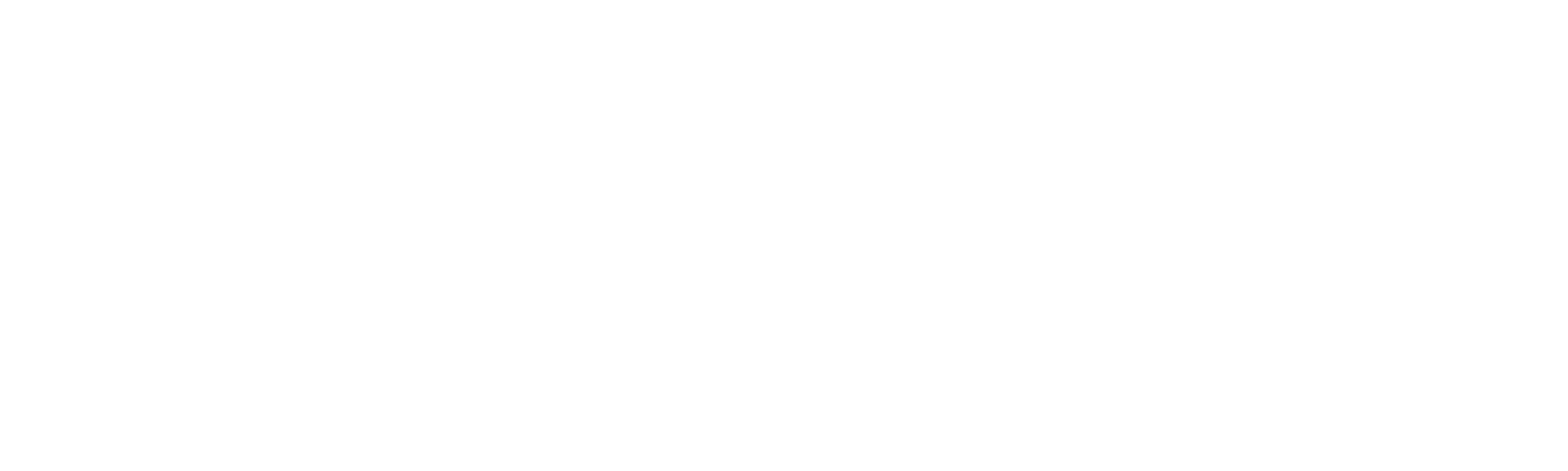 Speedy
