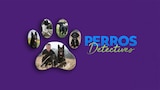Perros detectives