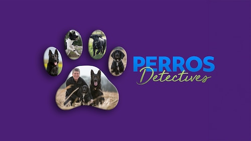 Disfruta Perros detectives | HBO Max
