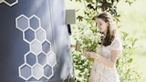 Concrete Truck Becomes a Beehive Bungalow