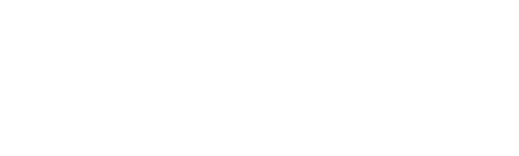 Big Crazy Family Adventure