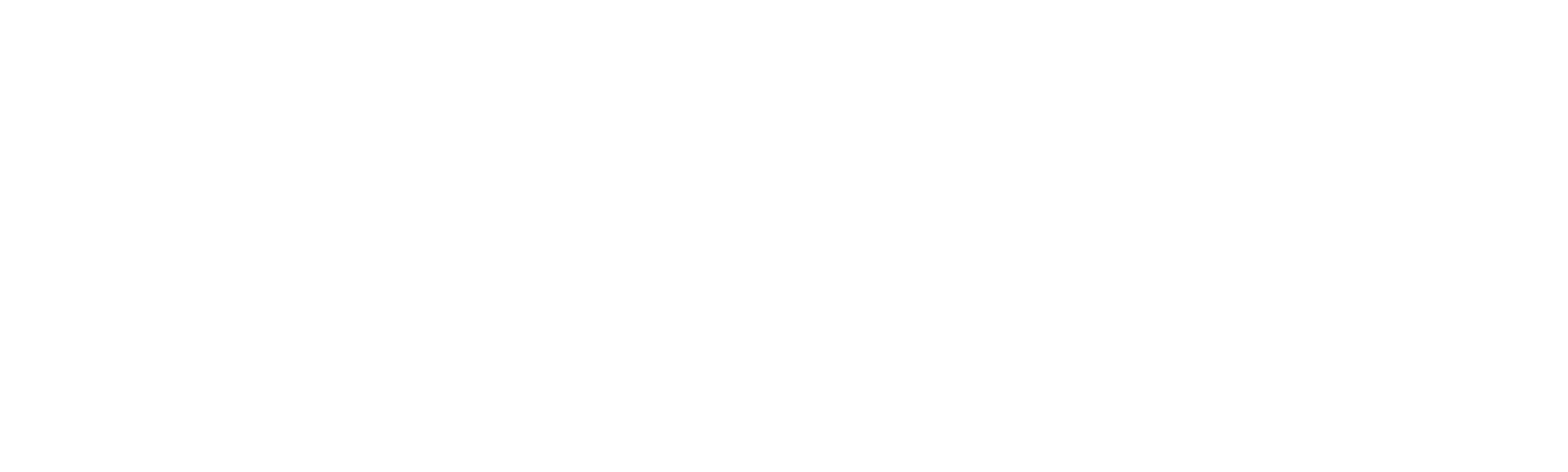 Big Crazy Family Adventure