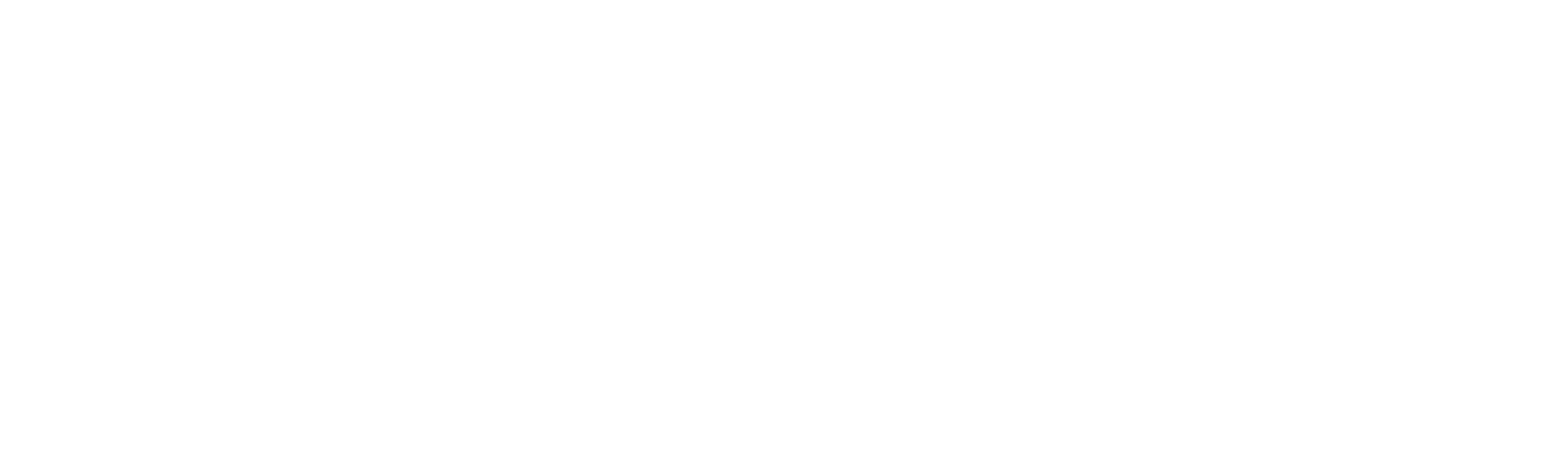 Bamse and the City of Thieves