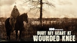 Bury My Heart at Wounded Knee