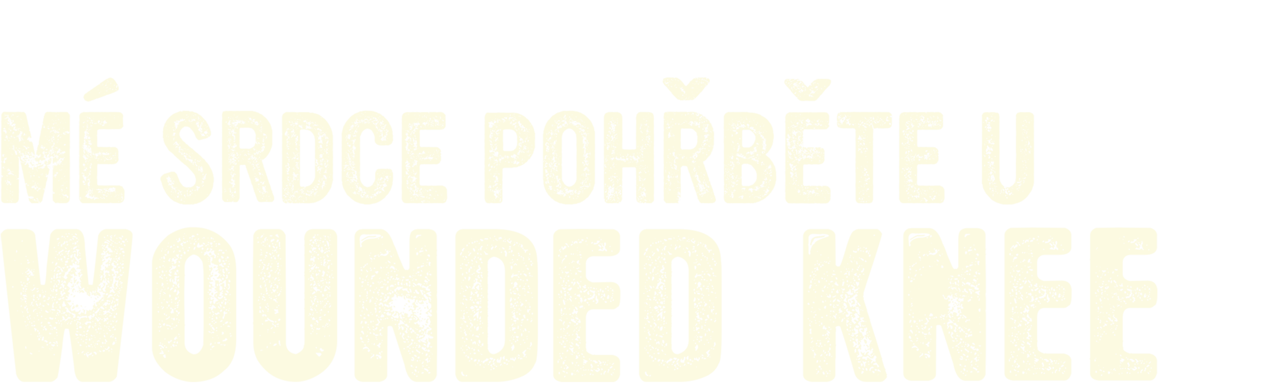 Mé srdce pohřběte u Wounded Knee