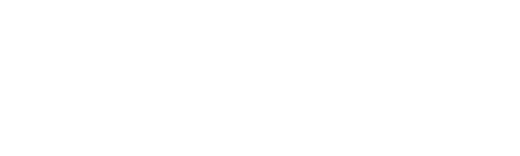 American Guns